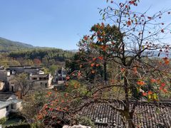 -塔川景区