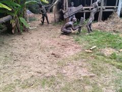 -河姆渡遗址博物馆