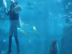 -北戴河圣蓝海洋公园