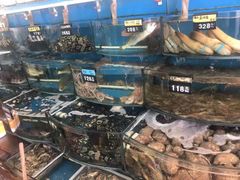 水产区-渔中舟海鲜大排档(普陀沈家门店)