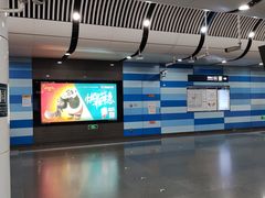 -大望路(地铁站)