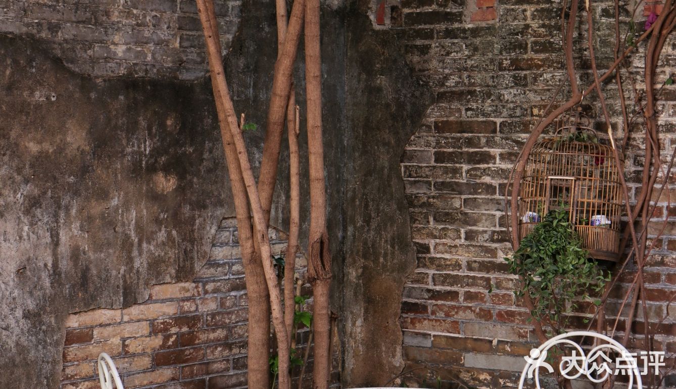 库存咖☕️和16岁“苏菲”，晒太阳、叹咖啡、聊人生