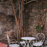 库存咖☕️和16岁“苏菲”，晒太阳、叹咖啡、聊人生