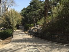 -紫竹院公园冰场