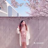 魔都樱花季🌸秒速五厘米的浪漫！