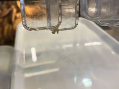 -85度C(南京龙江店)