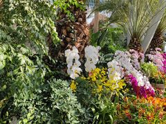 -北京植物园-展览温室