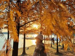 -上海海湾国家森林公园