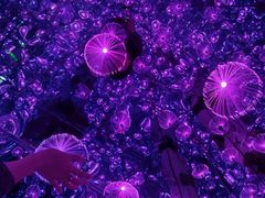 -杭州西湖星空魔幻城(星空艺术馆品牌旗舰店)