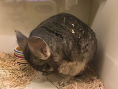 -龙猫仔乐园(惠福东路店)