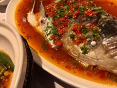 剁椒鱼头-毛家饭店·融合新湘菜·主题宴(齐鲁软件园店)