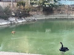 -芭东小镇温泉