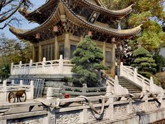 -上海东林寺(金山区)