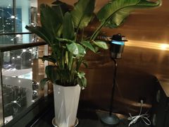 -南京空港温德姆花园酒店·MTF满庭芳中餐厅