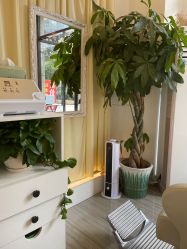 点击看大图 -妍理·植物养发