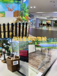 -未来动物城动物主题公园(大悦城店)
