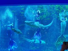 -威海华夏城景区