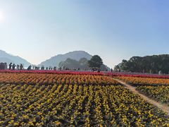 -广州市石门国家森林公园