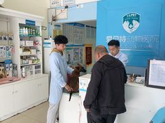 -爱贝特动物医院·猫口炎专科