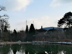 -香山公园