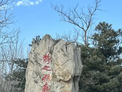 -静之湖度假区