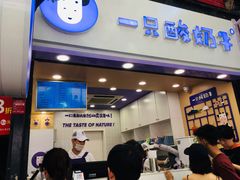 -一只酸奶牛(八一路店)