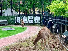 -海德温泉生活馆(朝阳大悦城店)