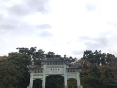 -普陀山风景名胜区-法雨禅寺