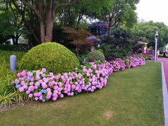 -北外滩滨江绿地