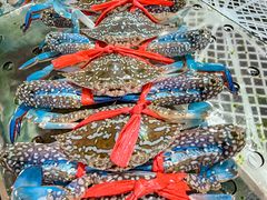 -粤盛海鲜平价店(洛溪食街店)