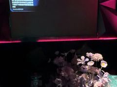-黑桃K生日订制KTV