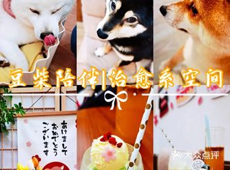 超治愈空间撸狗狗喝咖啡️吃甜品
