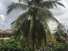 -吐斯廉屠杀博物馆