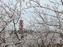 景点-云龙湖旅游景区