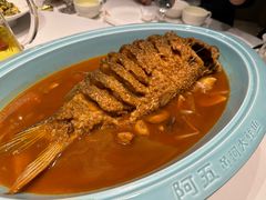 -阿五黄河大鲤鱼(英协路店)