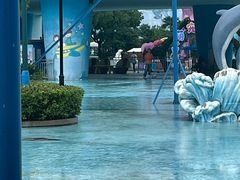 -芜湖新华联大白鲸海洋公园