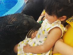 -尼莫海豚馆