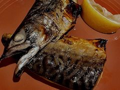 -章之鱼家(体育东路店)