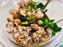 芥末花螺-马王堆海鲜水产市场