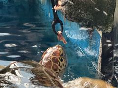 -成都浩海立方海洋公园