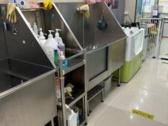 -北京观赏动物医院·24小时大型综合·猫专科·异宠专科