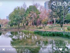 -和平公园
