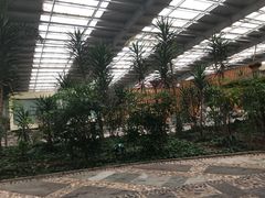 -御龙温泉度假村