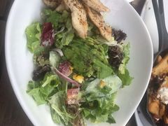 -Boxing Cat Brewery拳击猫精酿啤酒馆(永福店)