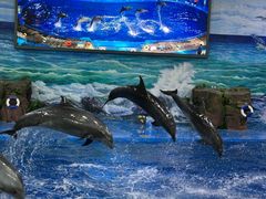 -多彩贵州城极地海洋世界