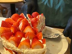 -O'eat Blossom&Pelican(深圳首店)