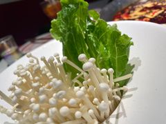 -九鼎轩脆毛肚火锅(三钢里店)