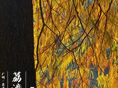 -荔湾湖公园