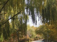 -鼎泰中汇广场