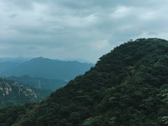 -大岭沟猕猴桃谷风景区